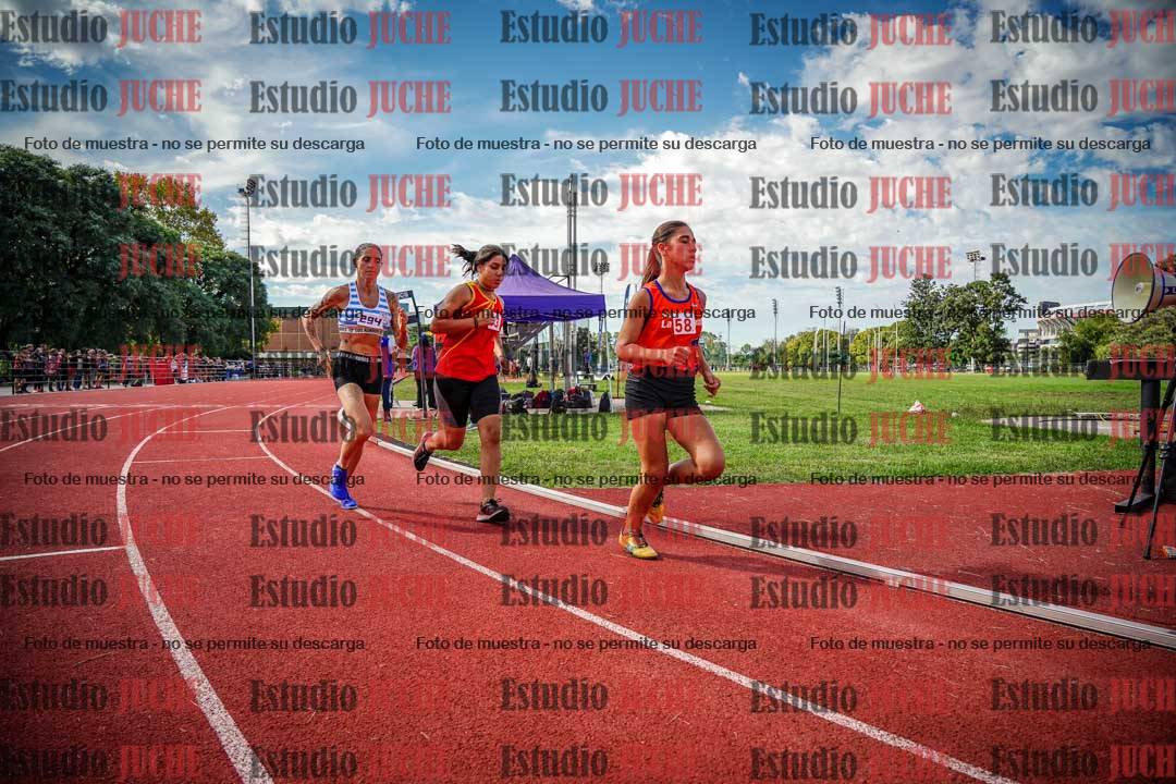 Fotos de los 800 m llanos de mujeres