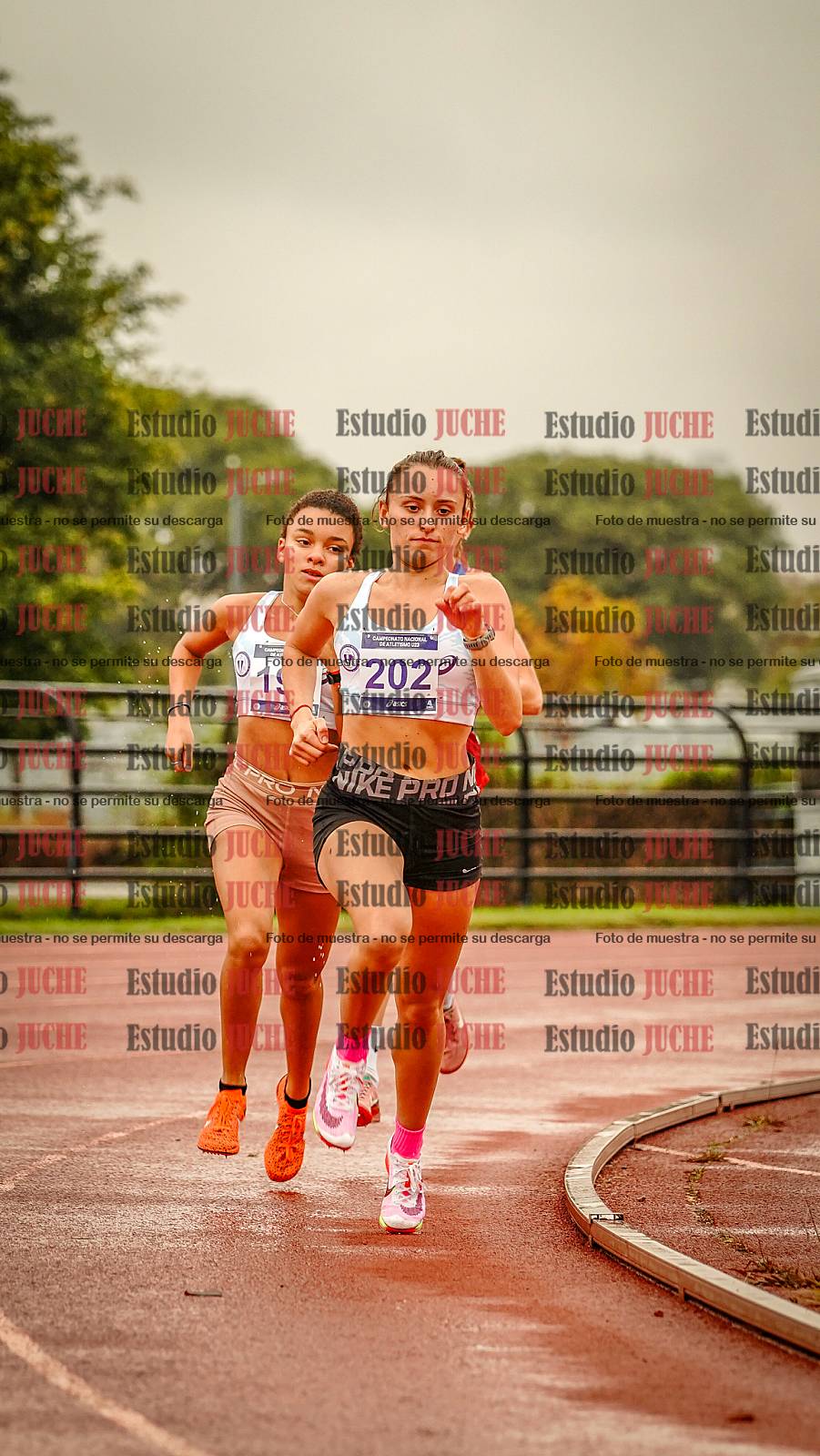 Fotos de los 1500 m llanos de mujeres