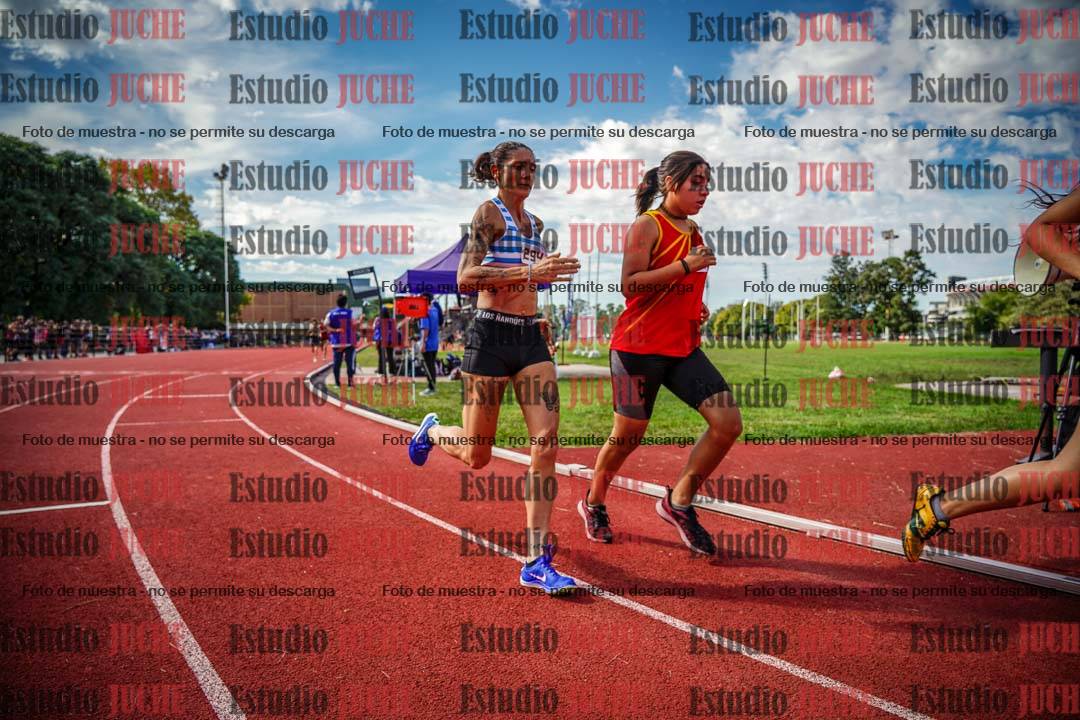 Fotos de los 800 m llanos de mujeres