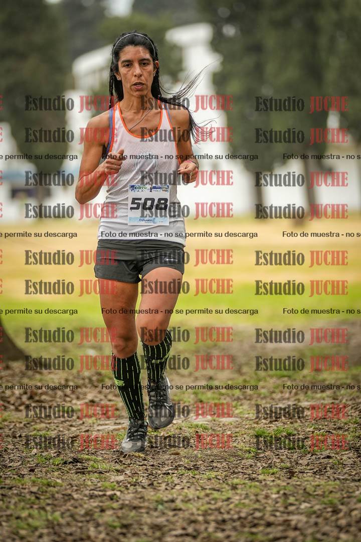 Fotos en el circuito