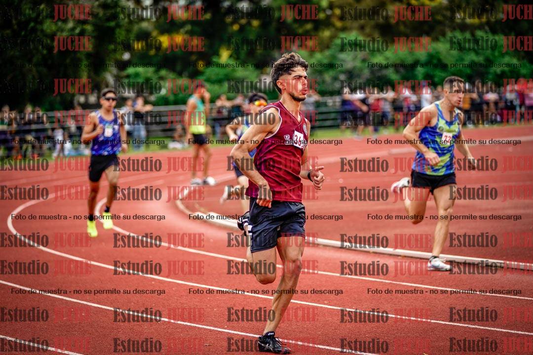 Fotos de los 800 m de varones