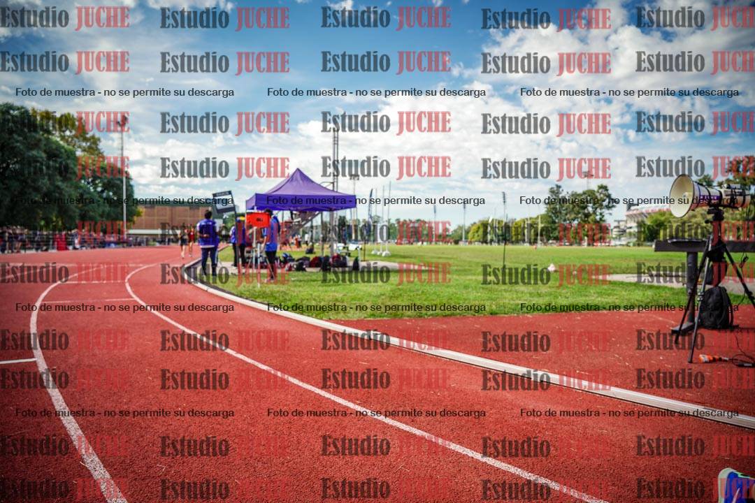 Fotos de los 800 m llanos de mujeres