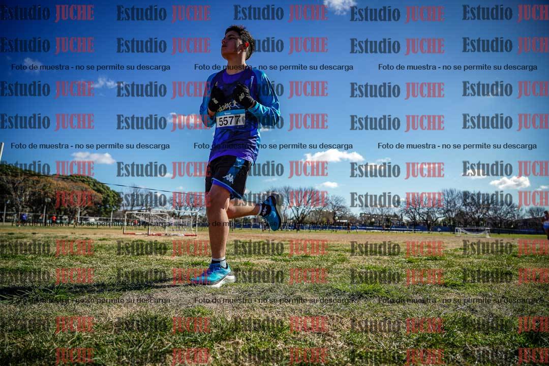 Fotos en el circuito