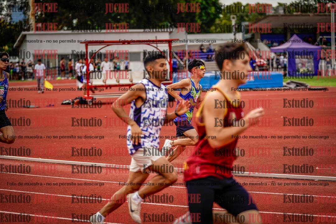 Fotos de los 800 m de varones