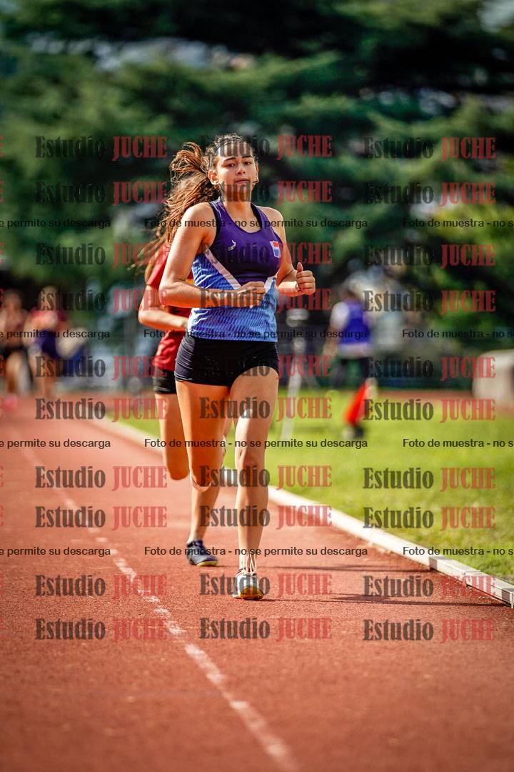 Fotos de los 800 m llanos de mujeres - hepta 7