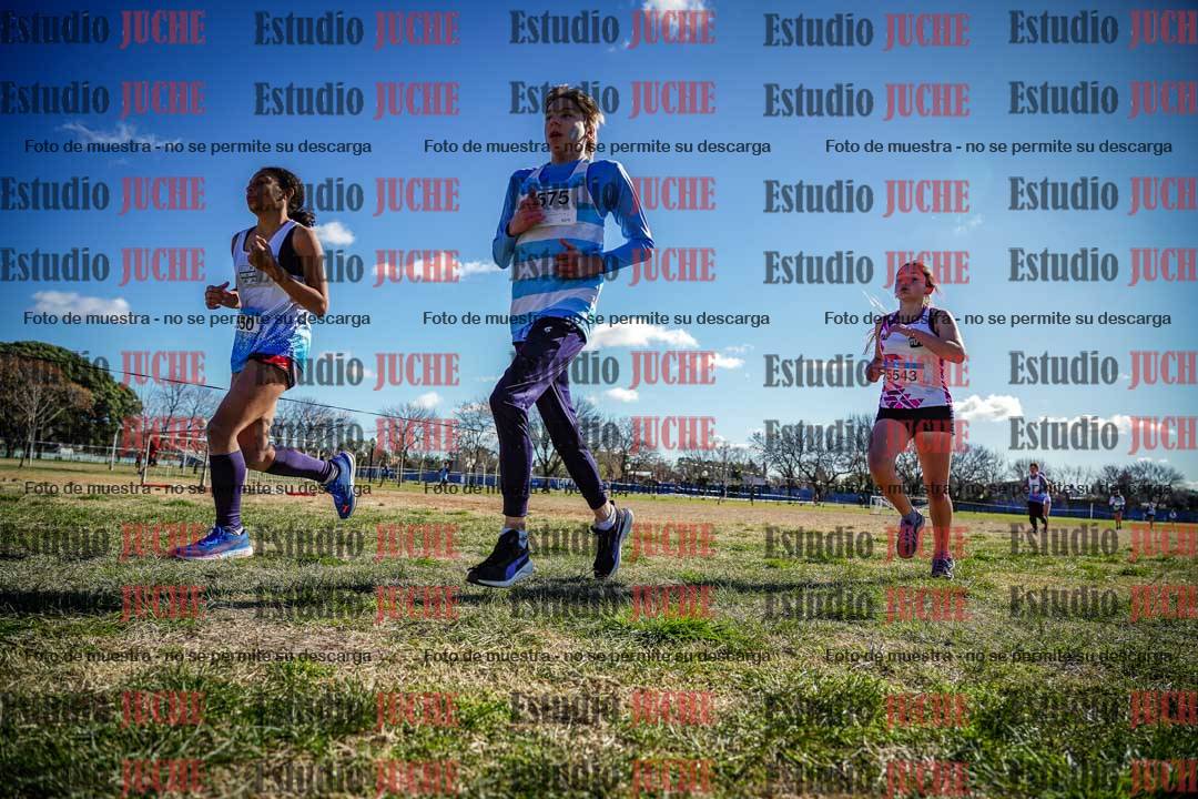 Fotos en el circuito