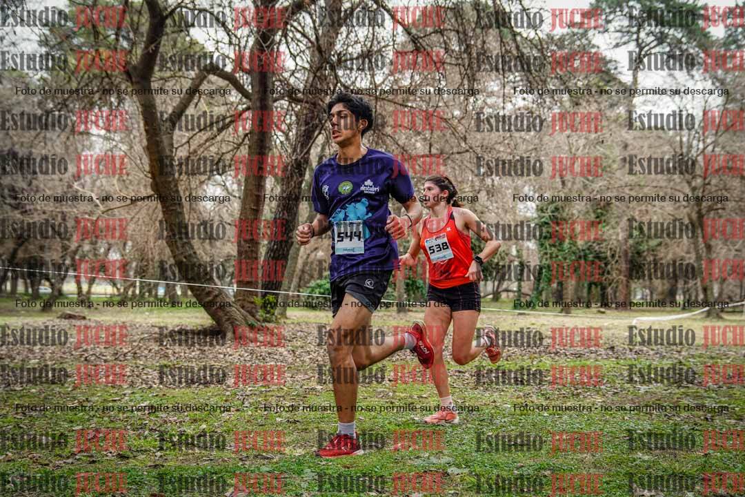 Fotos en el circuito