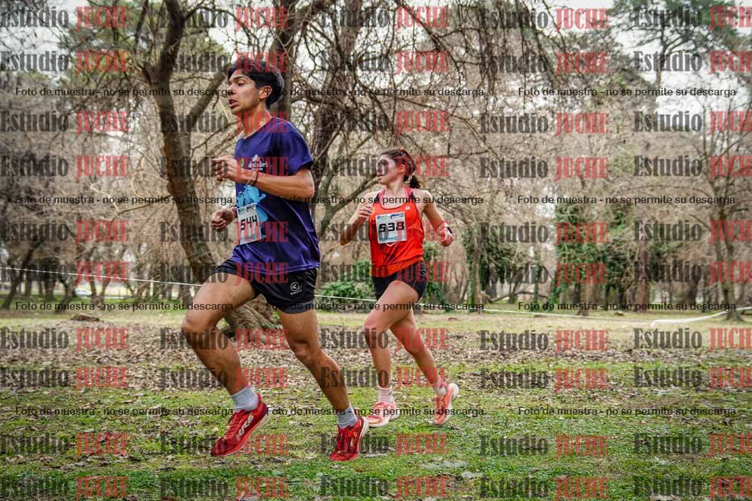 Fotos en el circuito