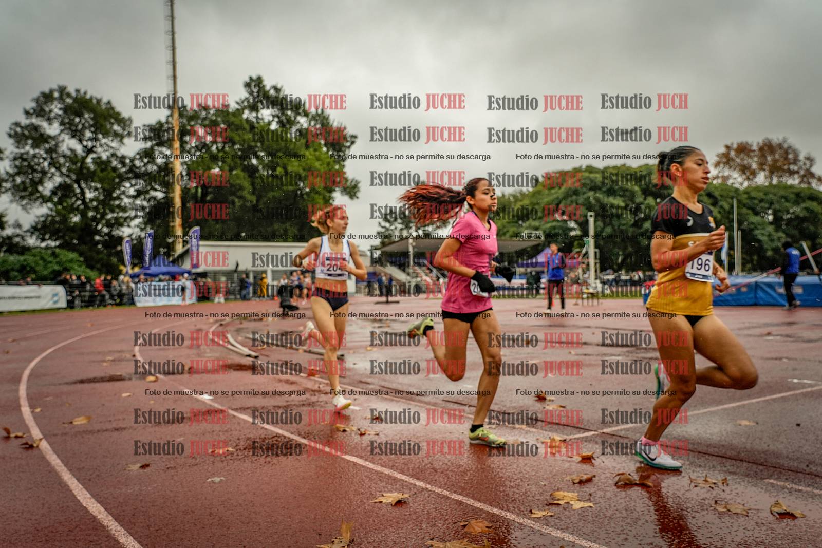 Fotos de los 1500 m llanos de mujeres