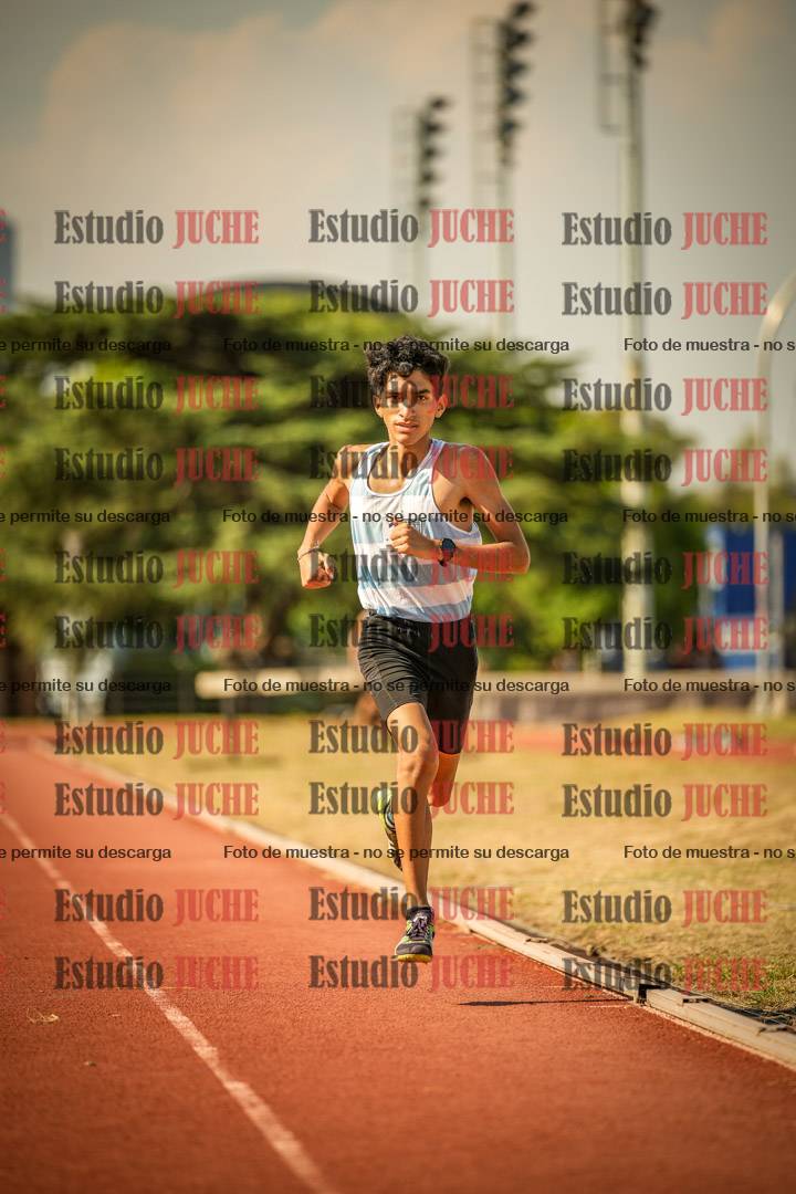 Fotos de los 800 m llanos de varones