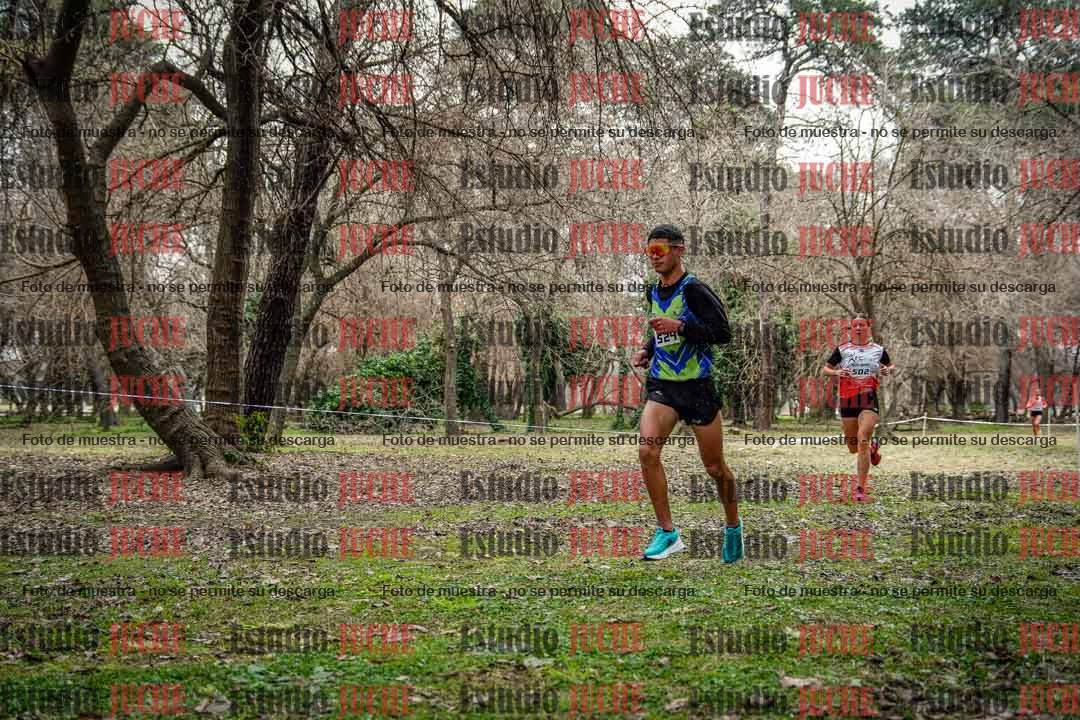 Fotos en el circuito