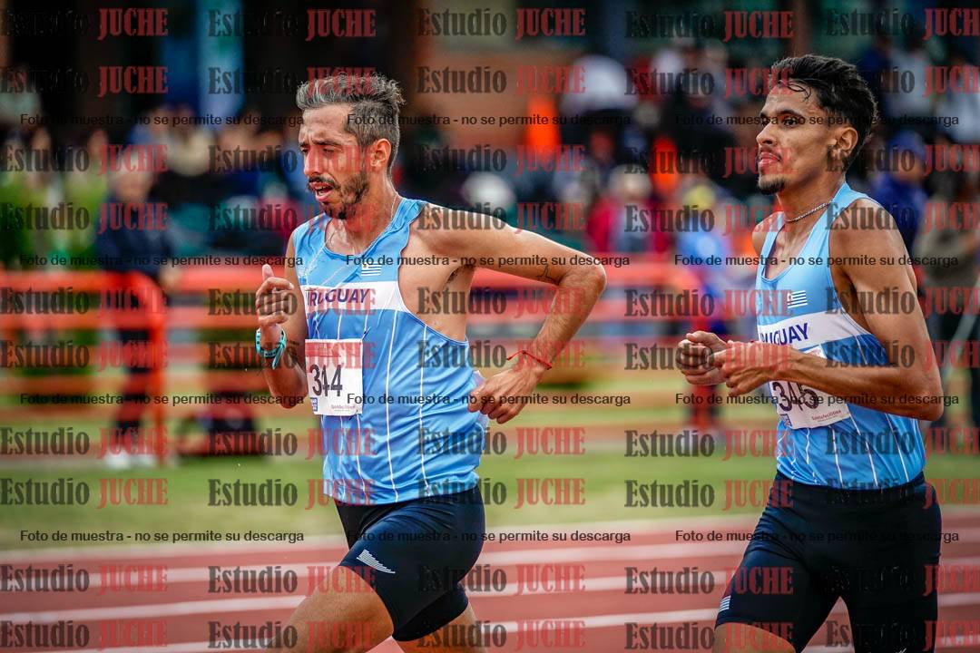 Fotos de los 10.000 m llanos de varones