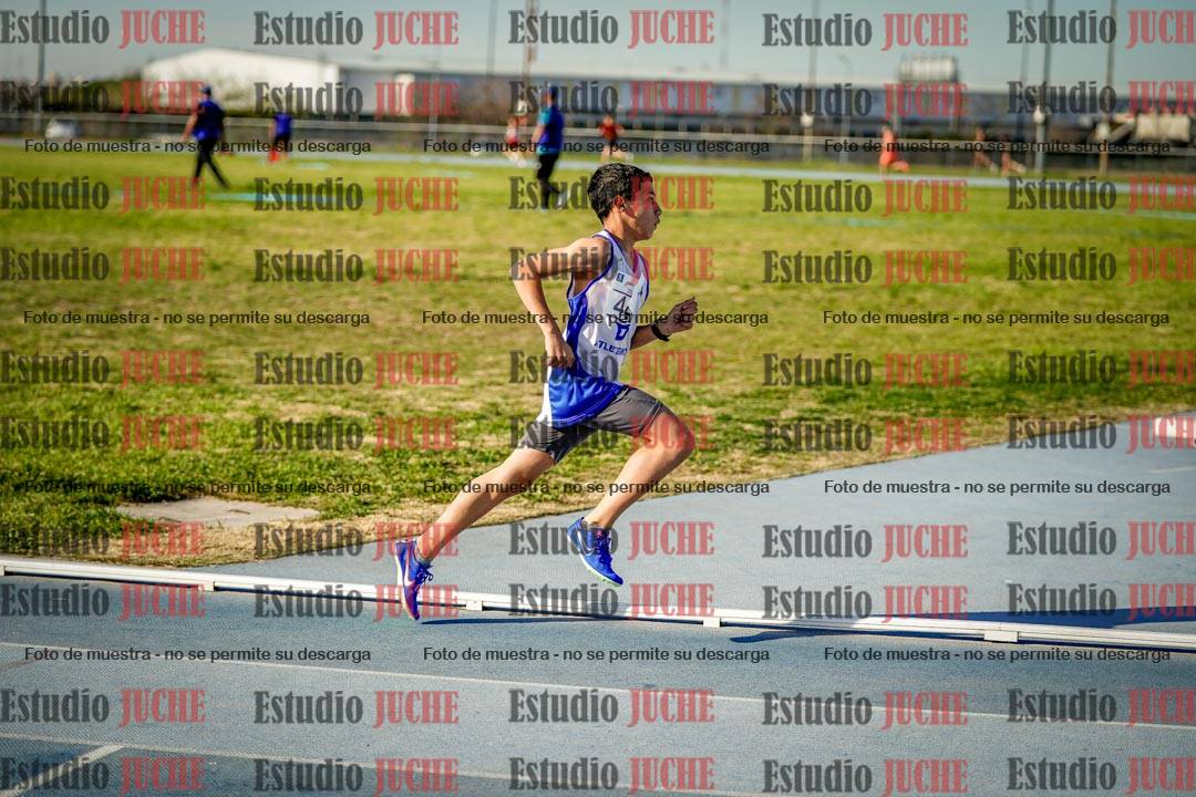 Fotos de los 1500 m llanos de varones