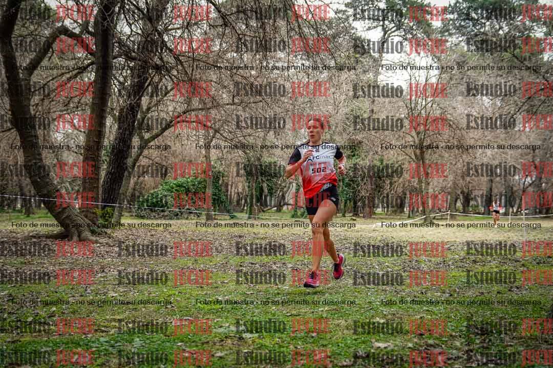 Fotos en el circuito