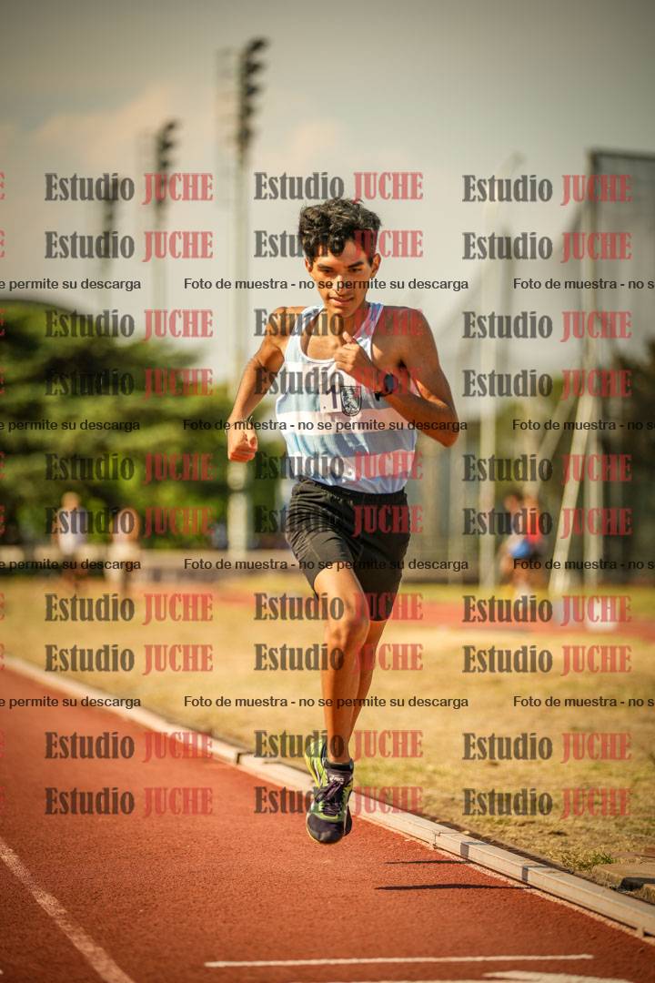 Fotos de los 800 m llanos de varones