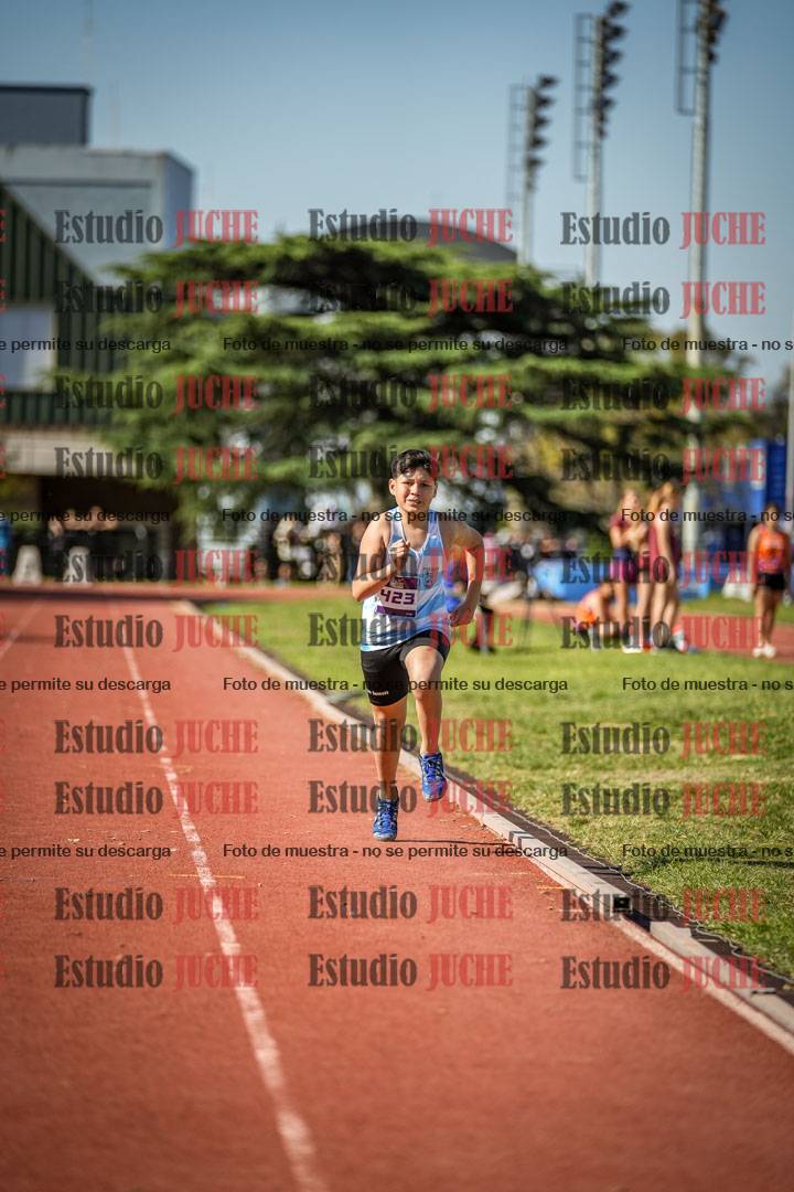Fotos de los 600 m llanos de varones