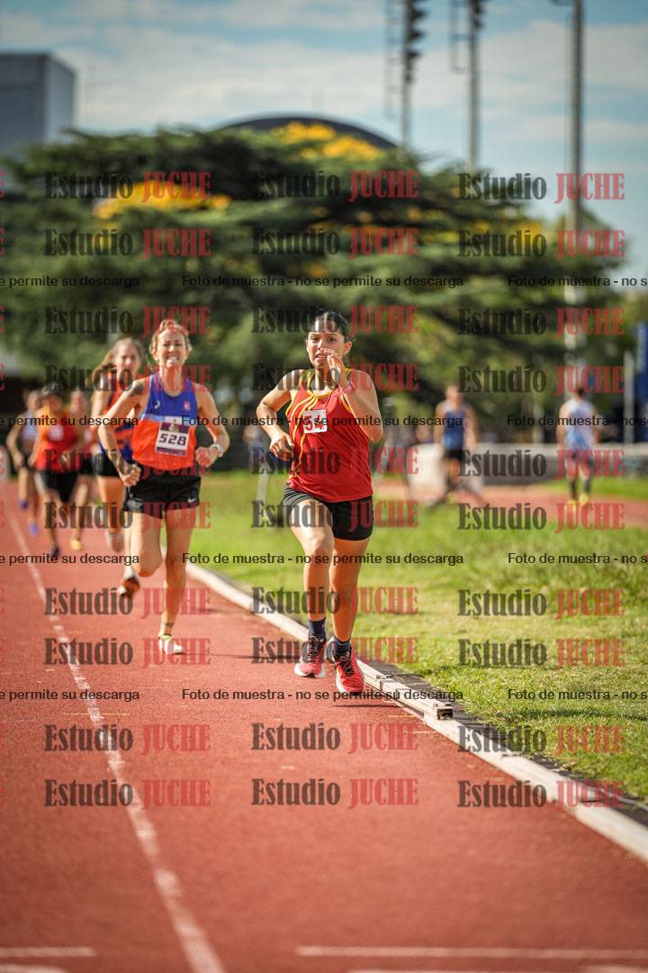 Fotos de los 800 m llanos de mujeres
