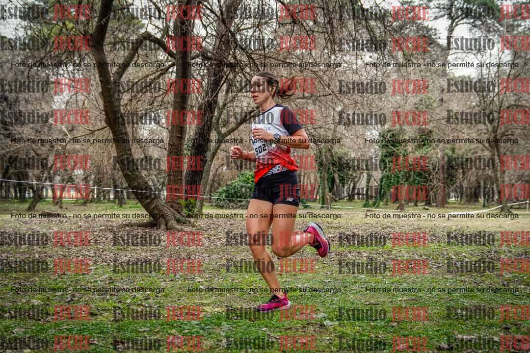 Fotos en el circuito