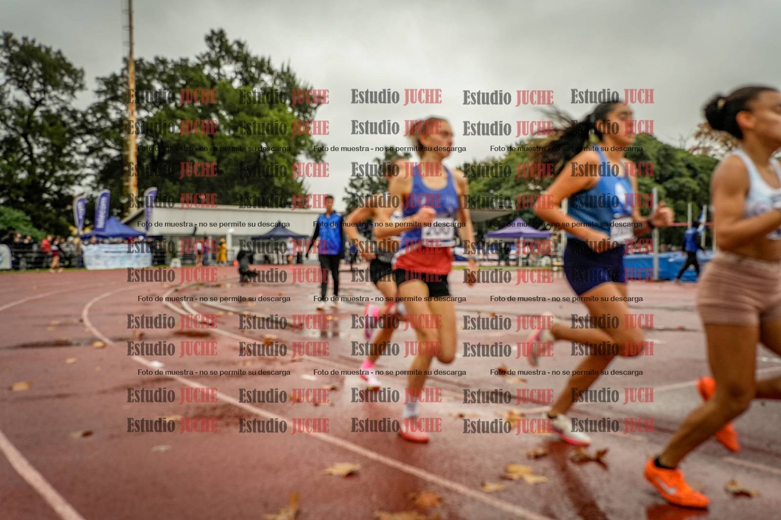 Fotos de los 1500 m llanos de mujeres