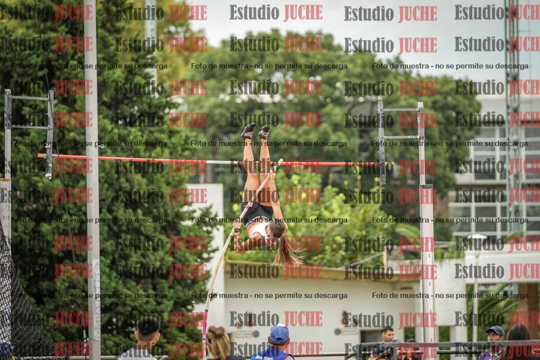 Fotos del salto con garrocha de mujeres y varones