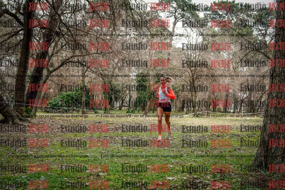 Fotos en el circuito