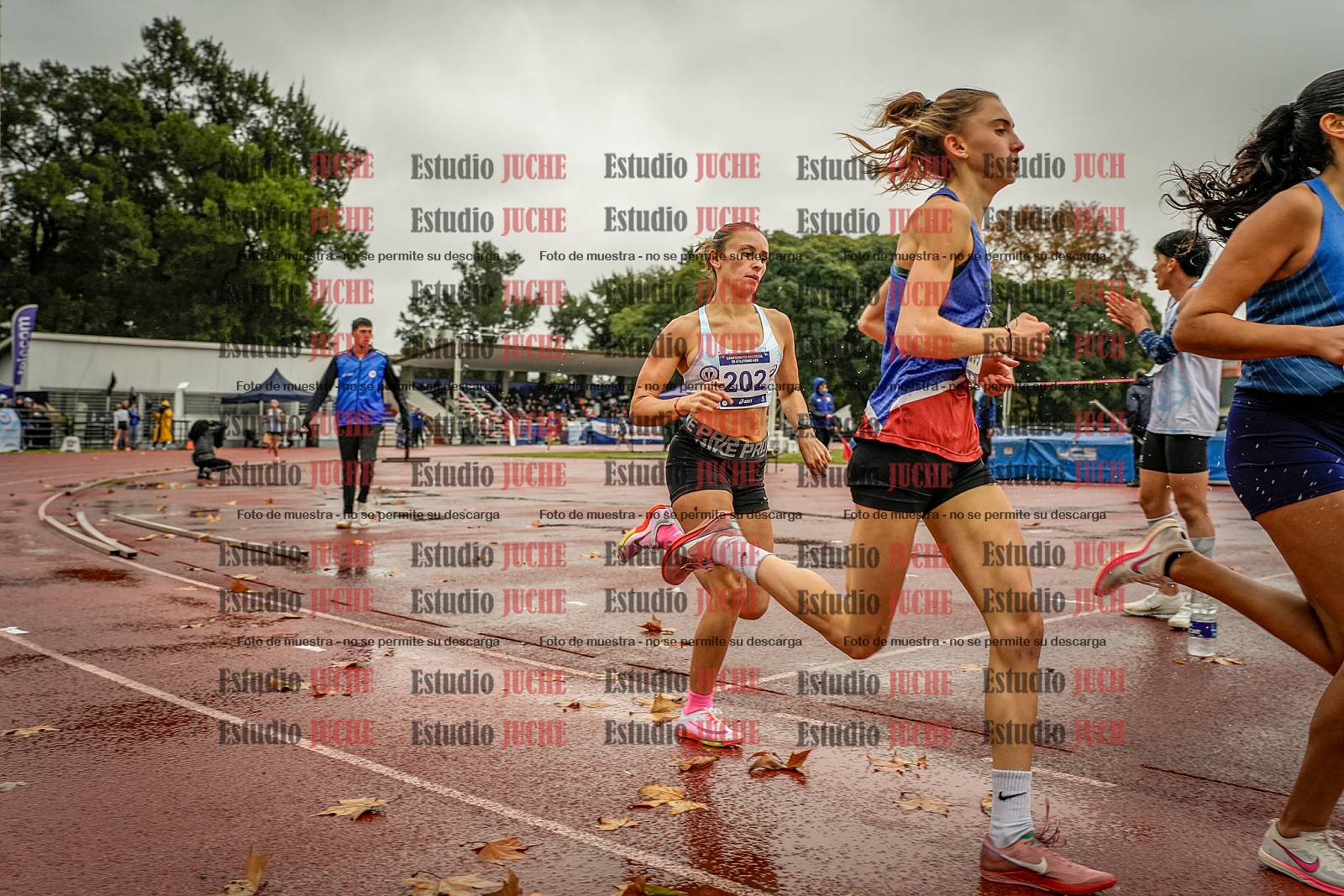 Fotos de los 1500 m llanos de mujeres