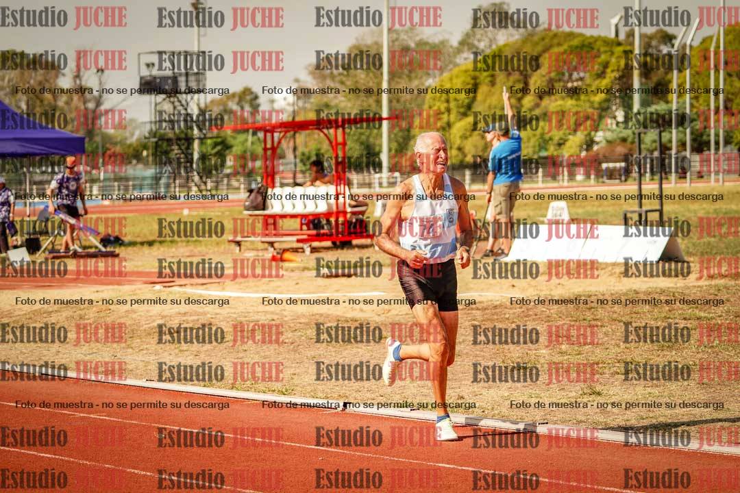 Fotos de los 800 m llanos de varones