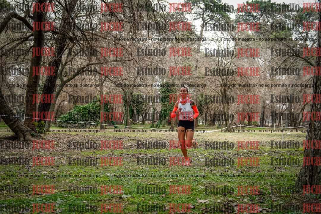Fotos en el circuito