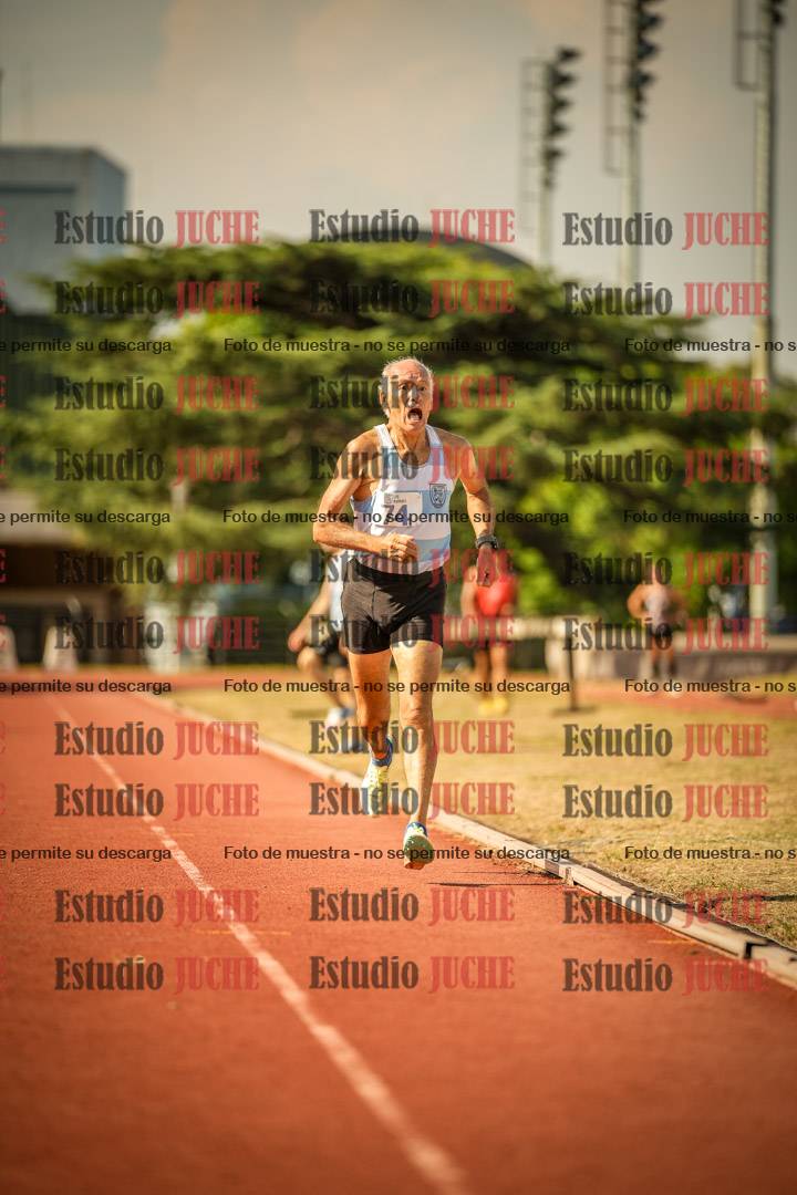 Fotos de los 800 m llanos de varones
