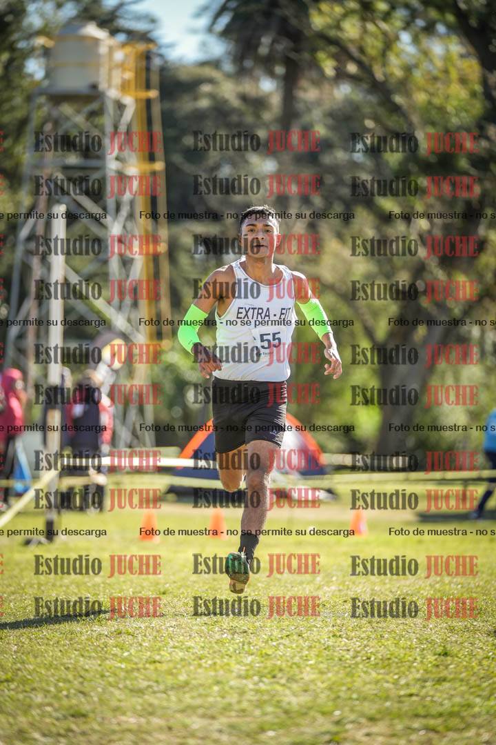Fotos de la llegada del cross de 8000 m