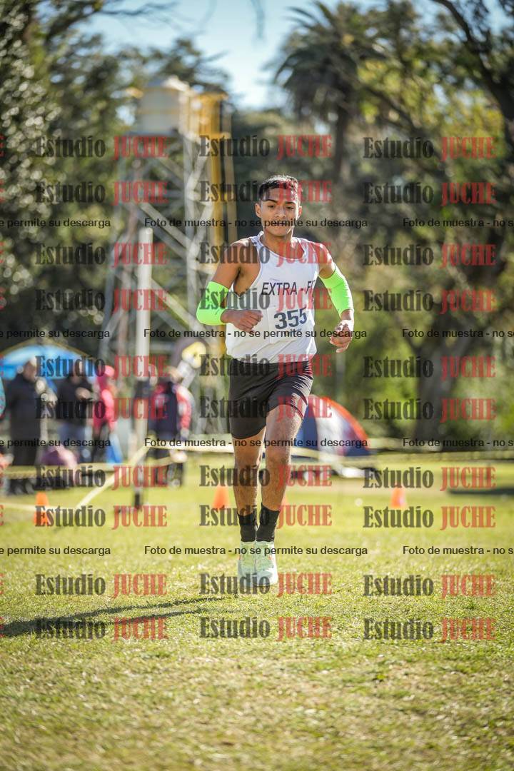Fotos de la llegada del cross de 8000 m