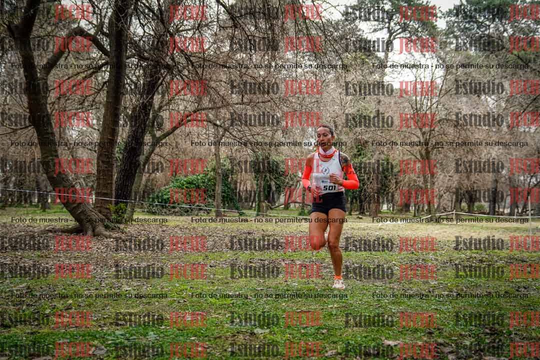 Fotos en el circuito