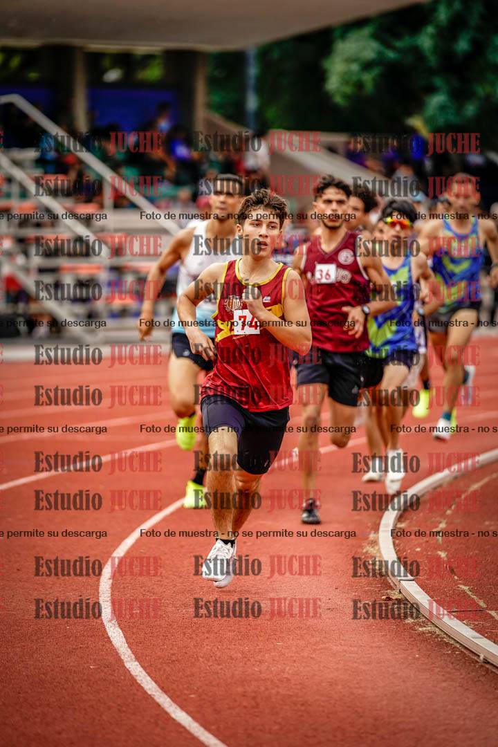 Fotos de los 800 m de varones