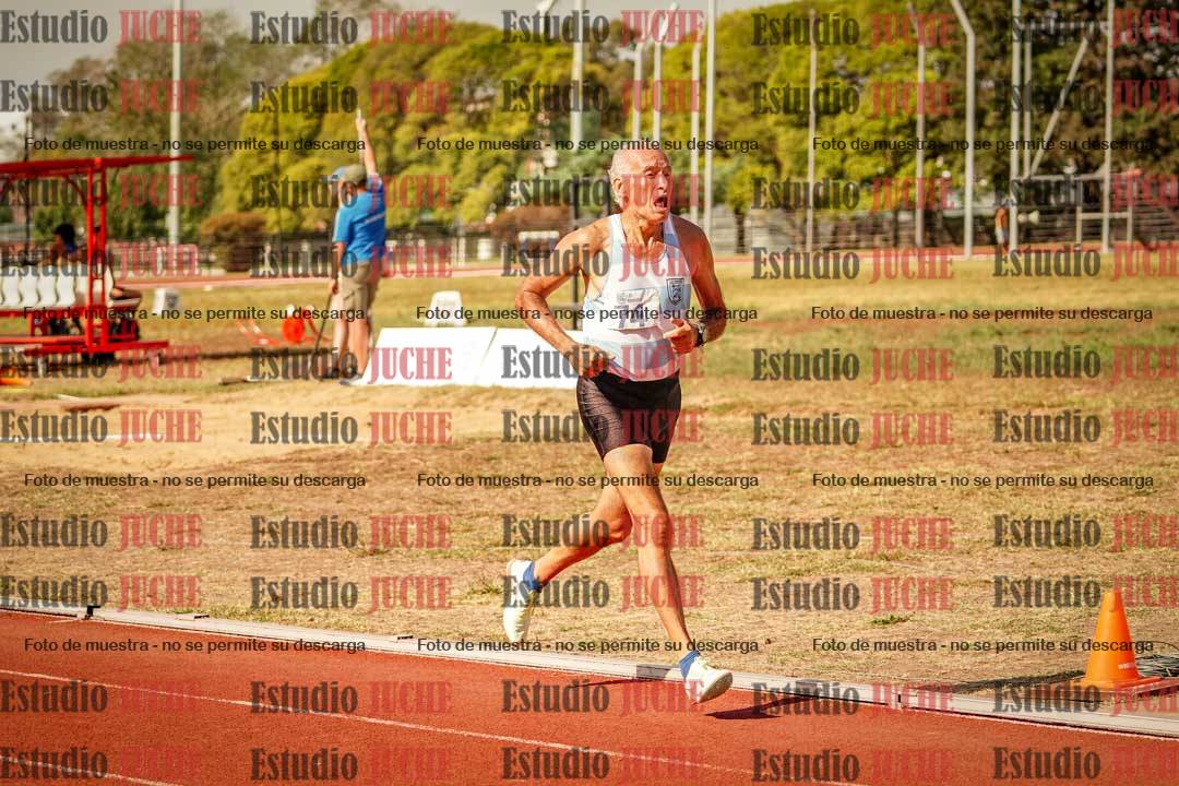 Fotos de los 800 m llanos de varones