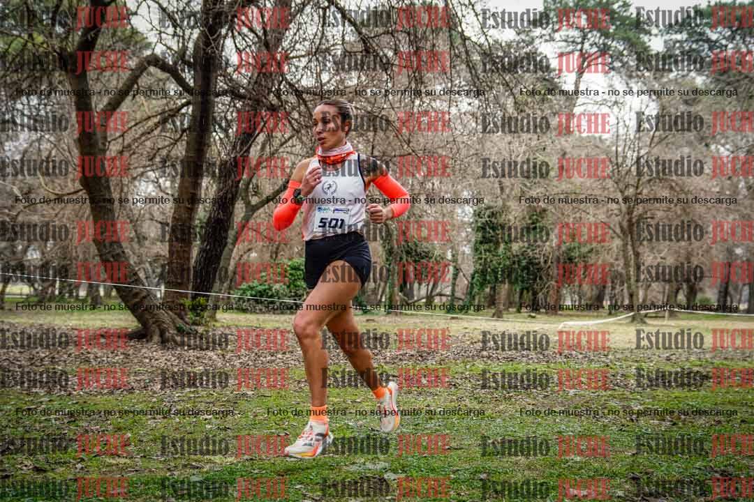 Fotos en el circuito