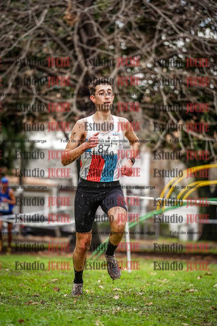 Fotos en el circuito
