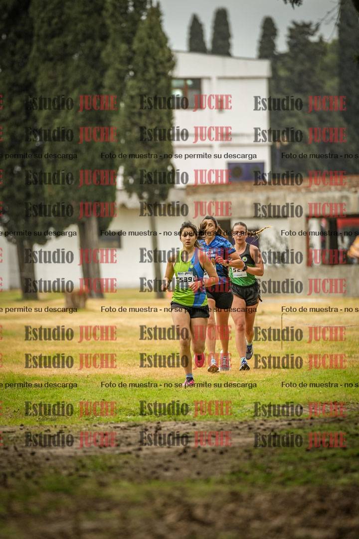 Fotos en el circuito