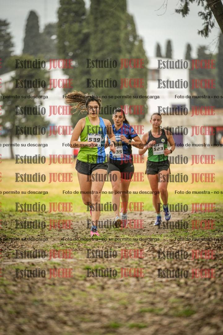 Fotos en el circuito