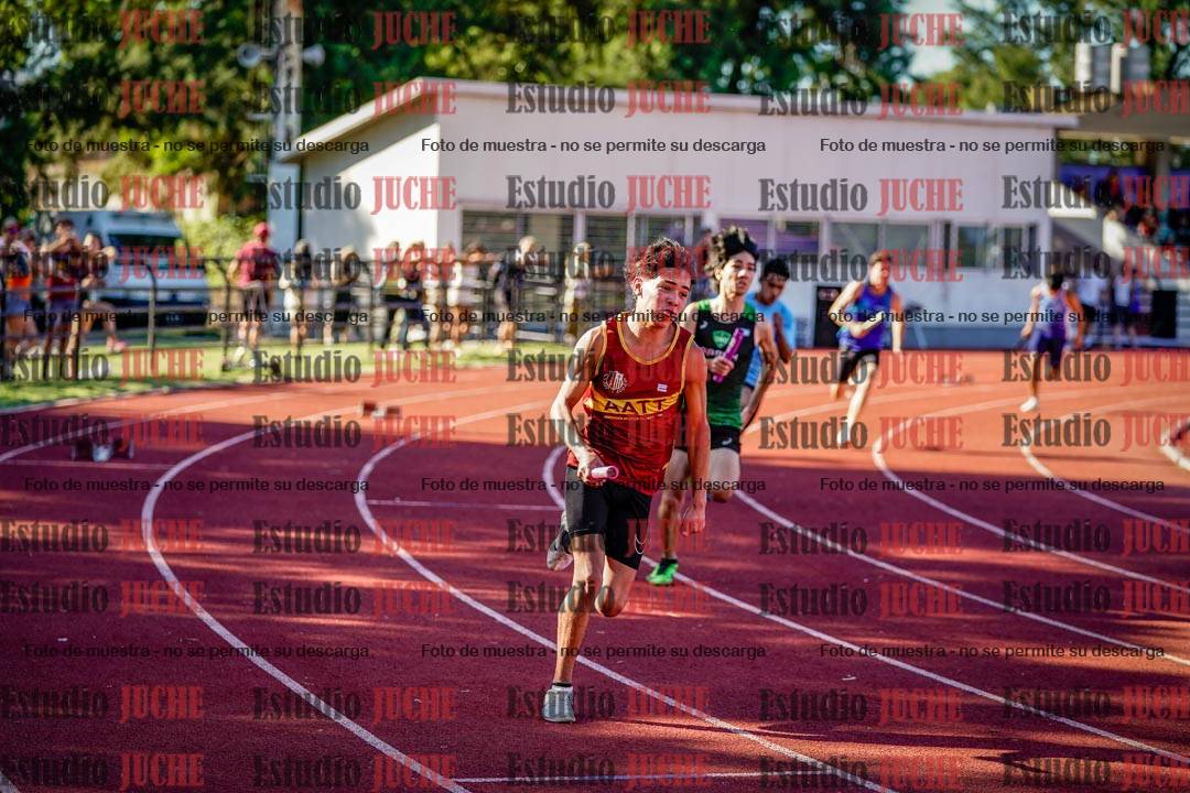 Fotos de las postas 4x100 m de varones