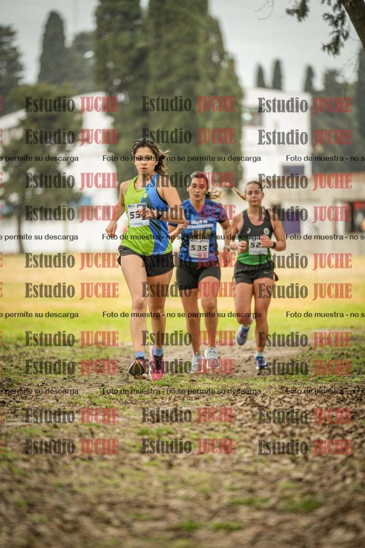 Fotos en el circuito