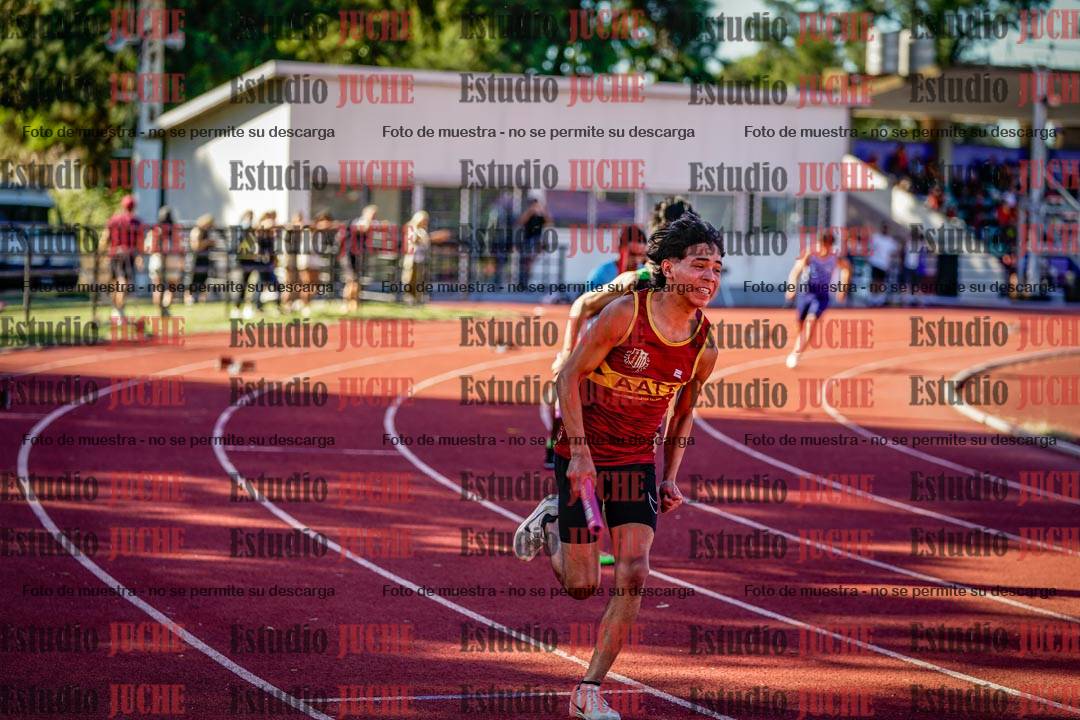 Fotos de las postas 4x100 m de varones