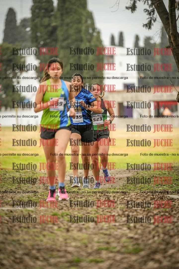 Fotos en el circuito