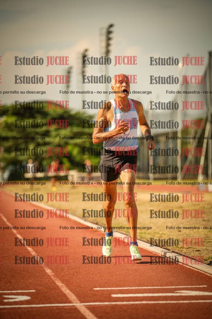 Fotos de los 800 m llanos de varones