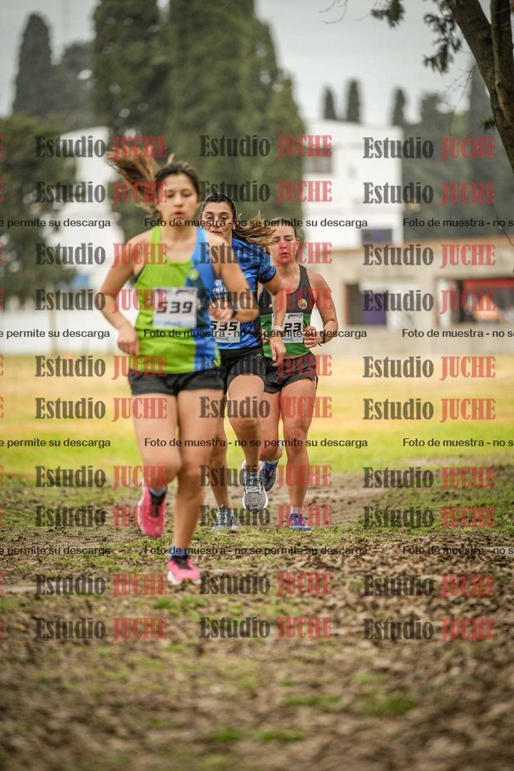 Fotos en el circuito