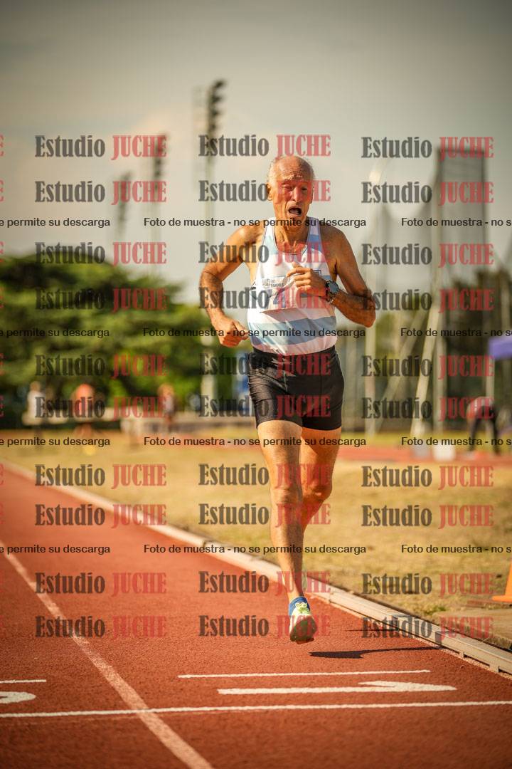 Fotos de los 800 m llanos de varones