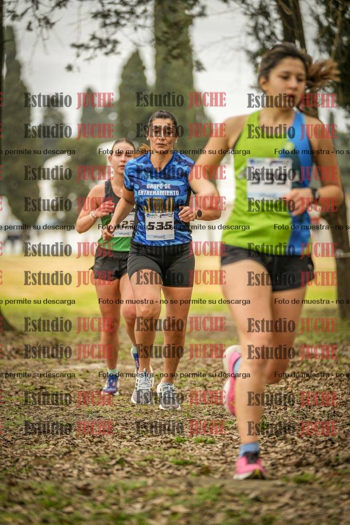 Fotos en el circuito