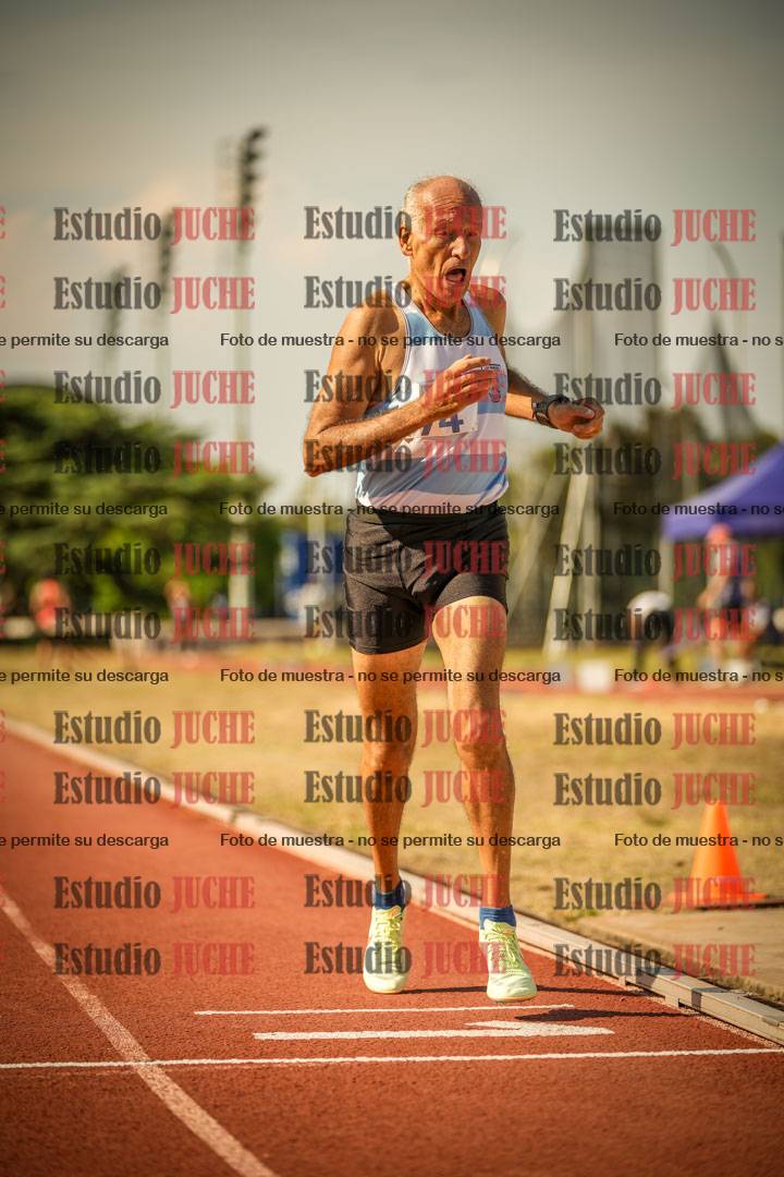 Fotos de los 800 m llanos de varones