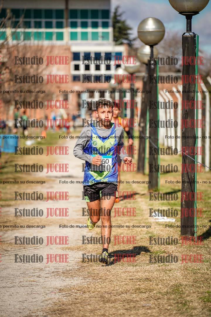 Fotos en el circuito