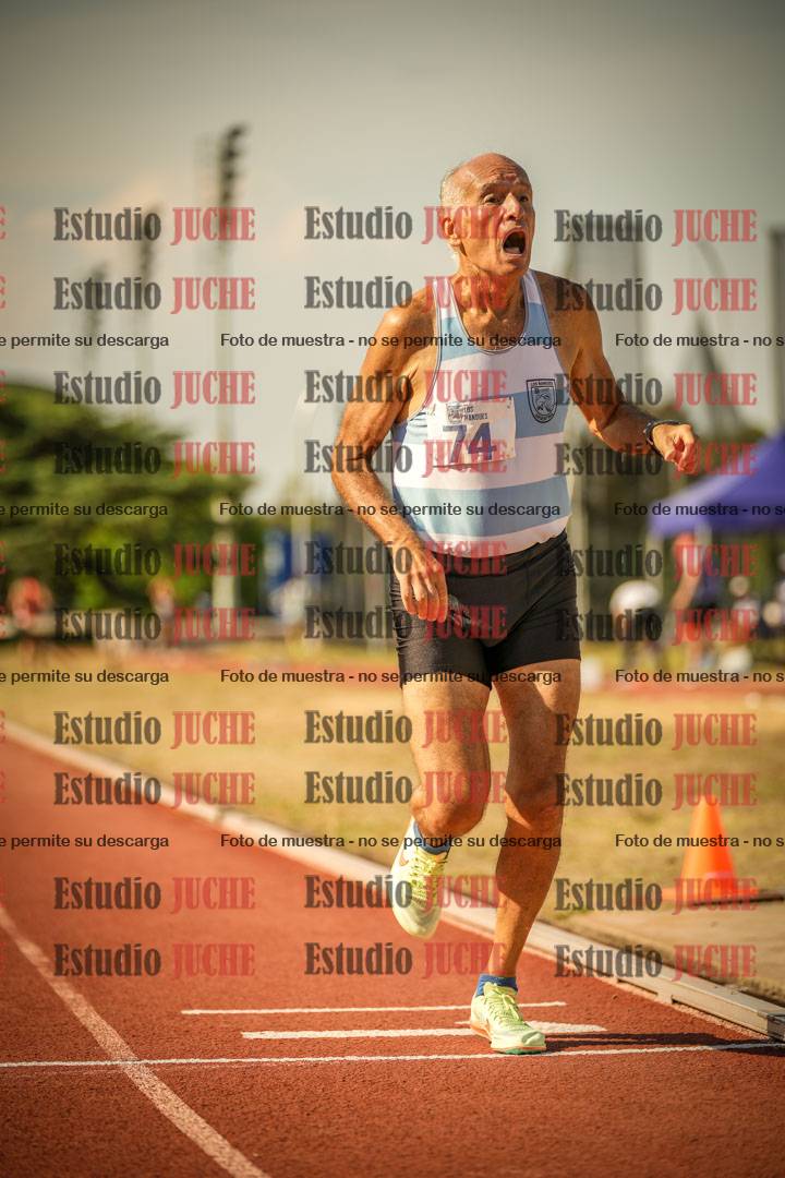Fotos de los 800 m llanos de varones