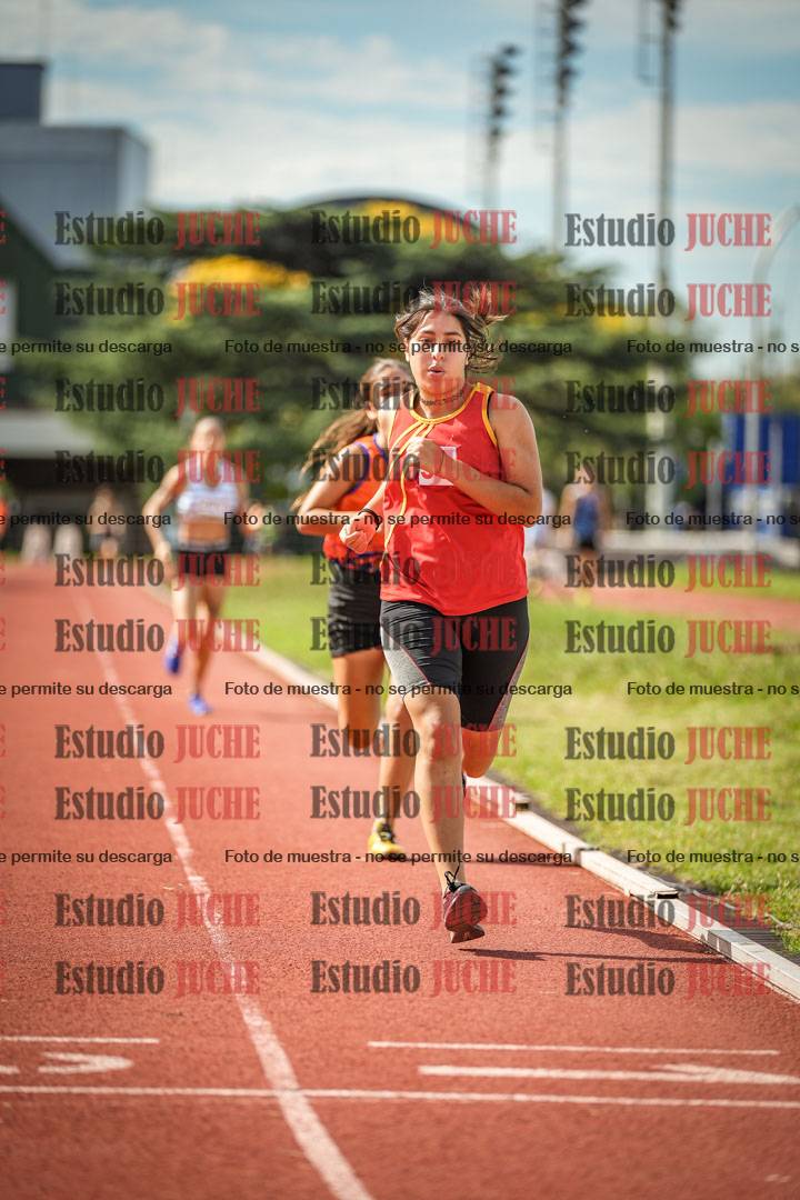 Fotos de los 800 m llanos de mujeres